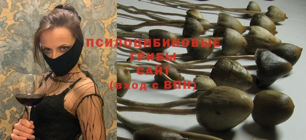 jwh Алзамай