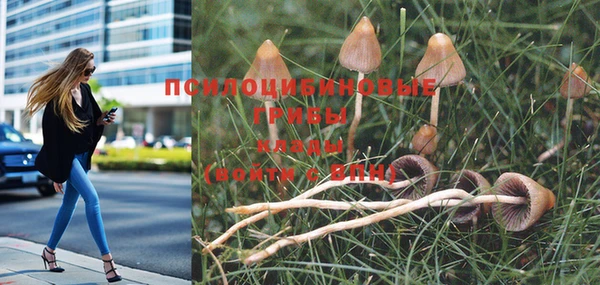 марки nbome Алексеевка