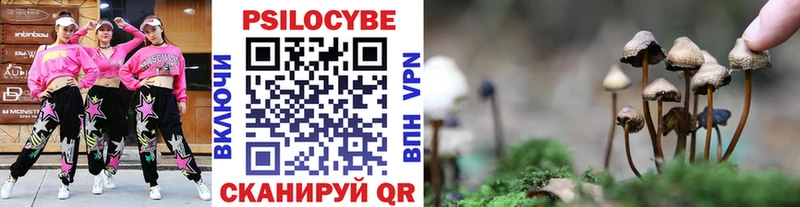 Галлюциногенные грибы ЛСД  Грязовец 