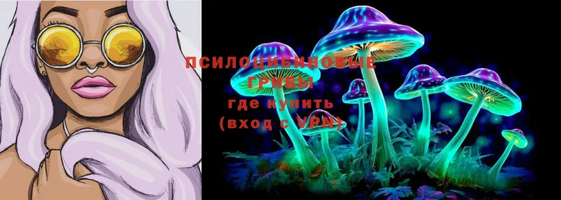 Галлюциногенные грибы Magic Shrooms  цена наркотик  Грязовец 